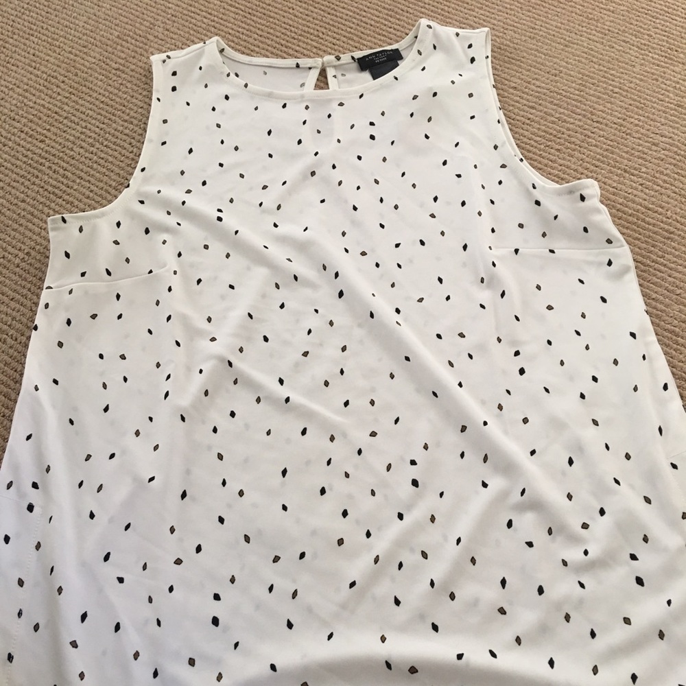 Ann Taylor Top